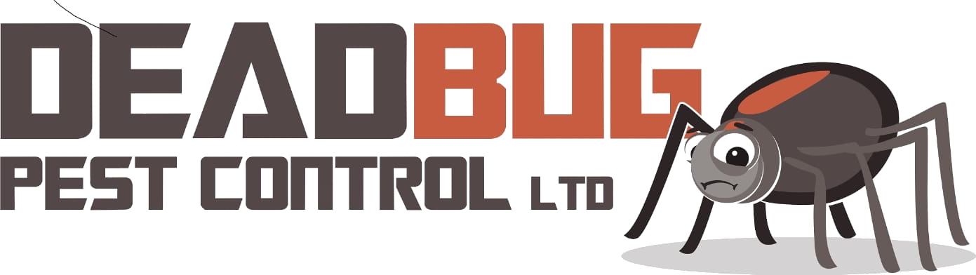 Dead Bug Pest Control